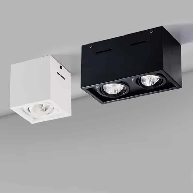 Downlight aparent cu unul sau două spoturi orientabile