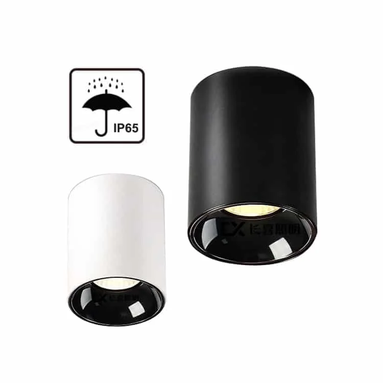 Downlight cilindric aparent IP65